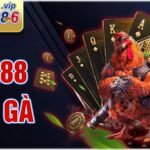 EE88 Đá gà